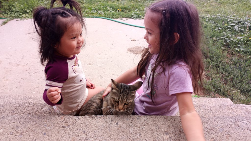 Two girls sitting on a step with a cat.