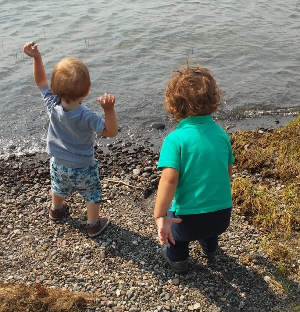 Two toddlers throwing rocks into a lake.