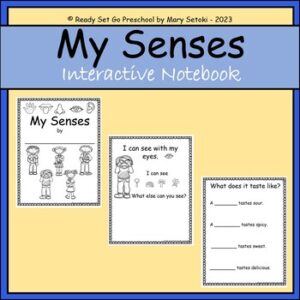 My-Senses-Interactive-Notebook